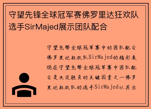守望先锋全球冠军赛佛罗里达狂欢队选手SirMajed展示团队配合